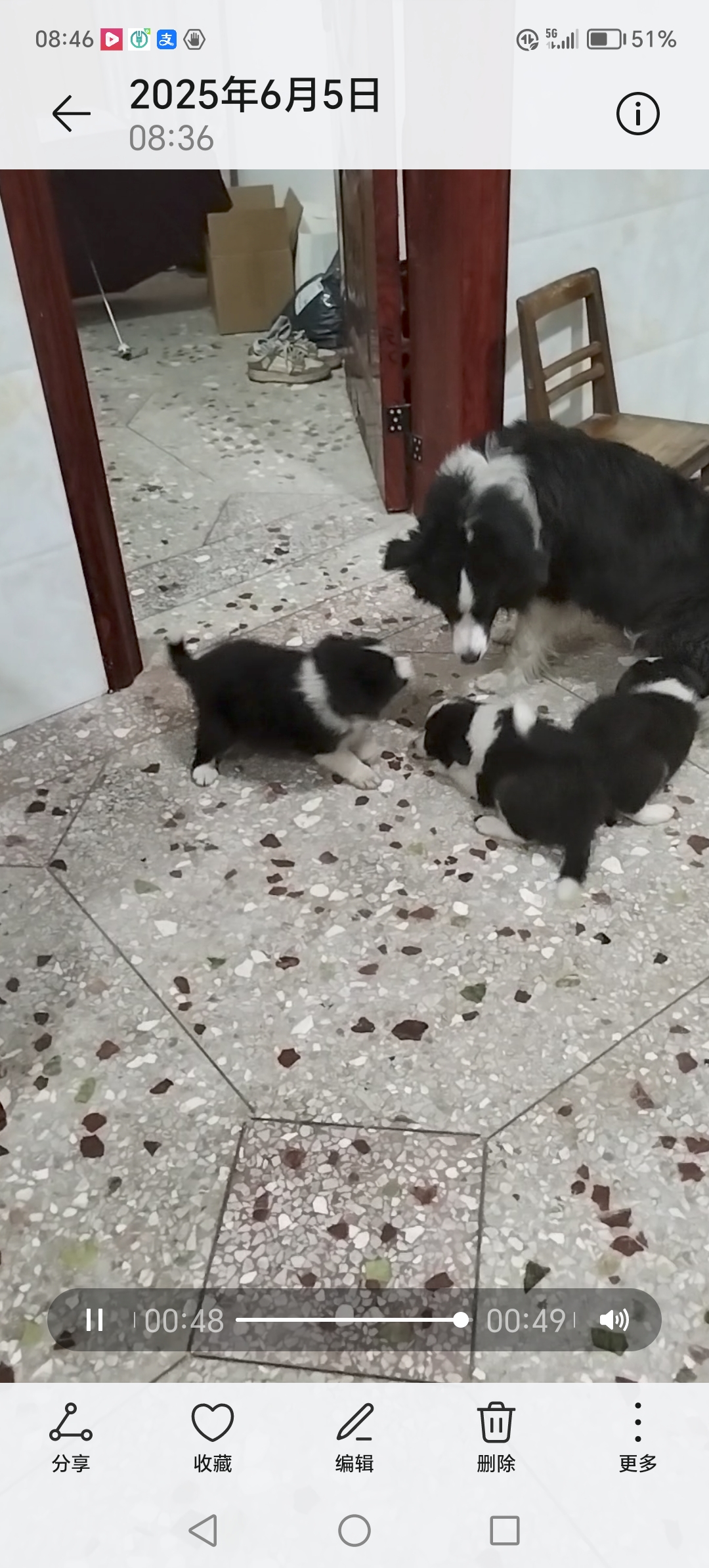小牧牧